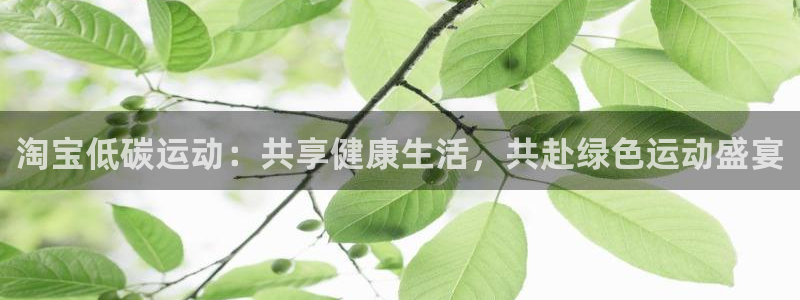 so米体育直播免费观看：淘宝低碳运动：共享健康生活，共赴绿色运动盛宴