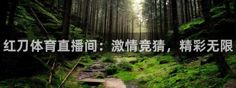 so米直播篮球：红刀体育直播间：激情竞猜，精彩无限