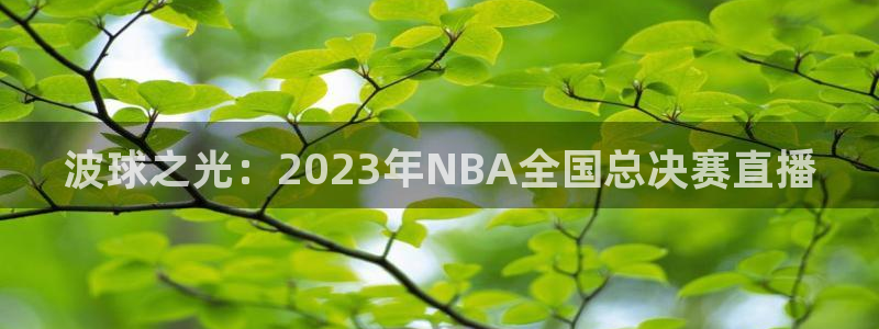 体育直播so米：波球之光：2023年NBA全国总决赛直播