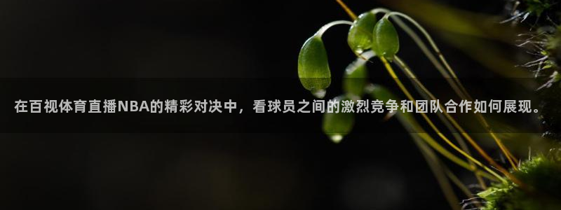 so米体育直播篮球：在百视体育直播NBA的精彩对决中，看球员之间的激烈竞争和团队合作如何展现。