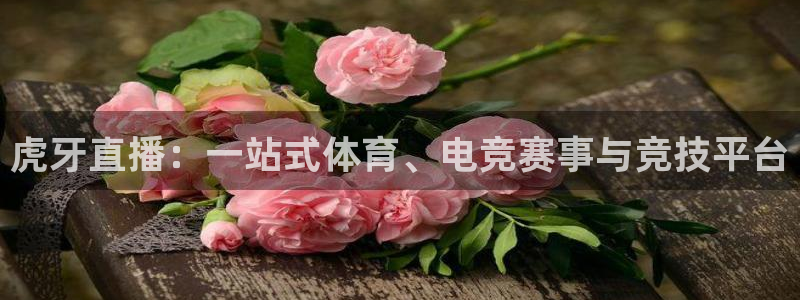 so米体育直播app下载：虎牙直播：一站式体育、电竞赛事与竞技平台