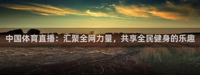 so米体育直播观看：中国体育直播：汇聚全网力量，共享全民健身的乐趣