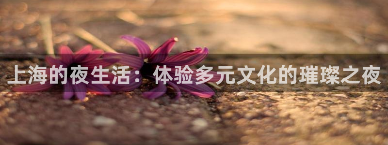 so米体育nba：上海的夜生活：体验多元文化的璀璨之夜