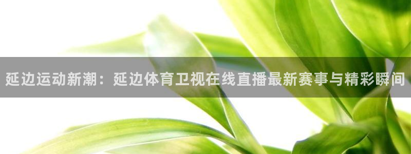 so米体育直播足球：延边运动新潮：延边体育卫视在线直播最新赛事与精彩瞬间